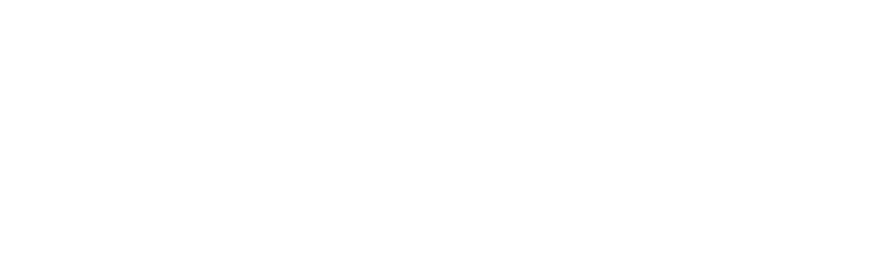 logo Success solutions